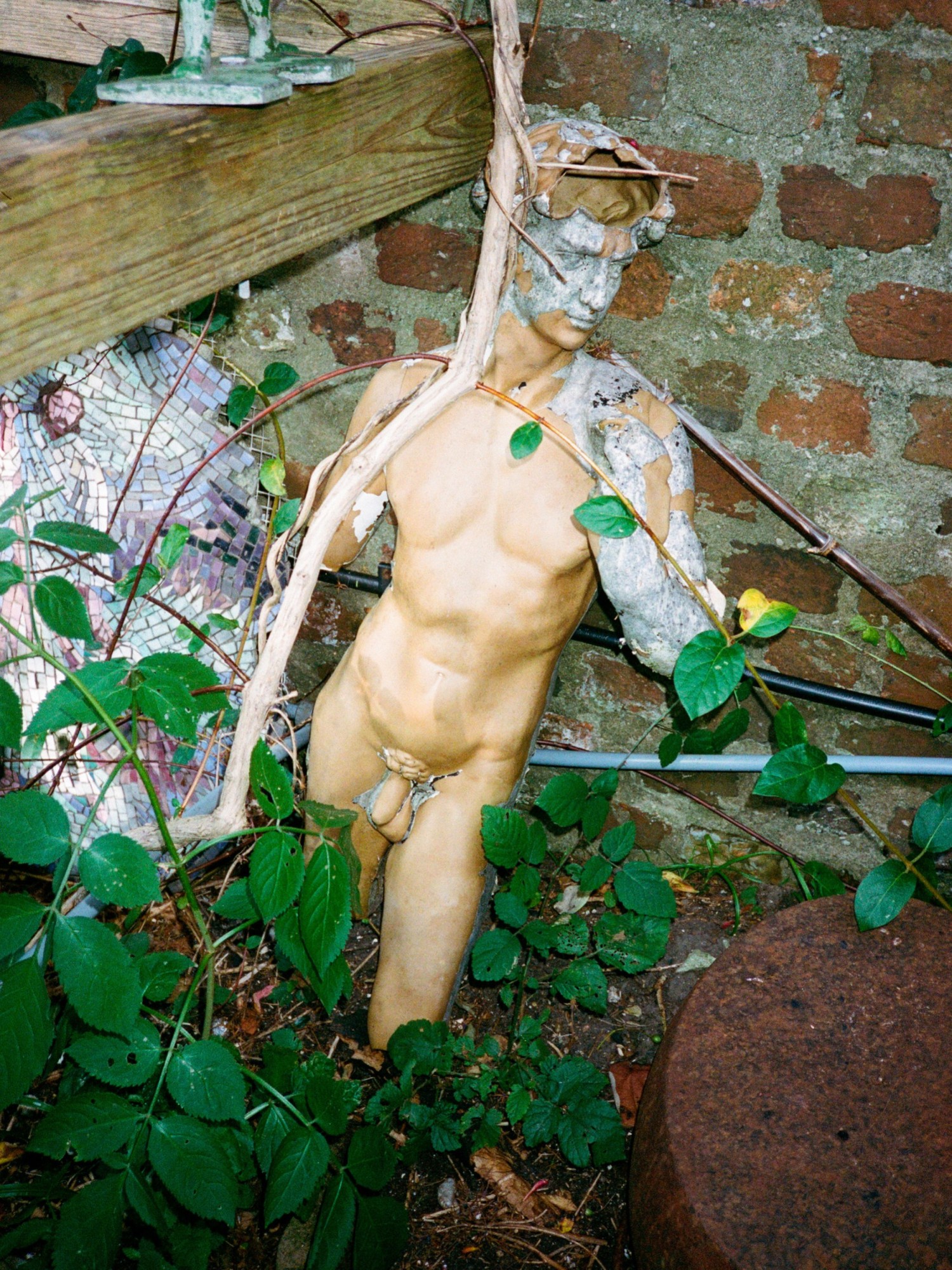 25.jpg